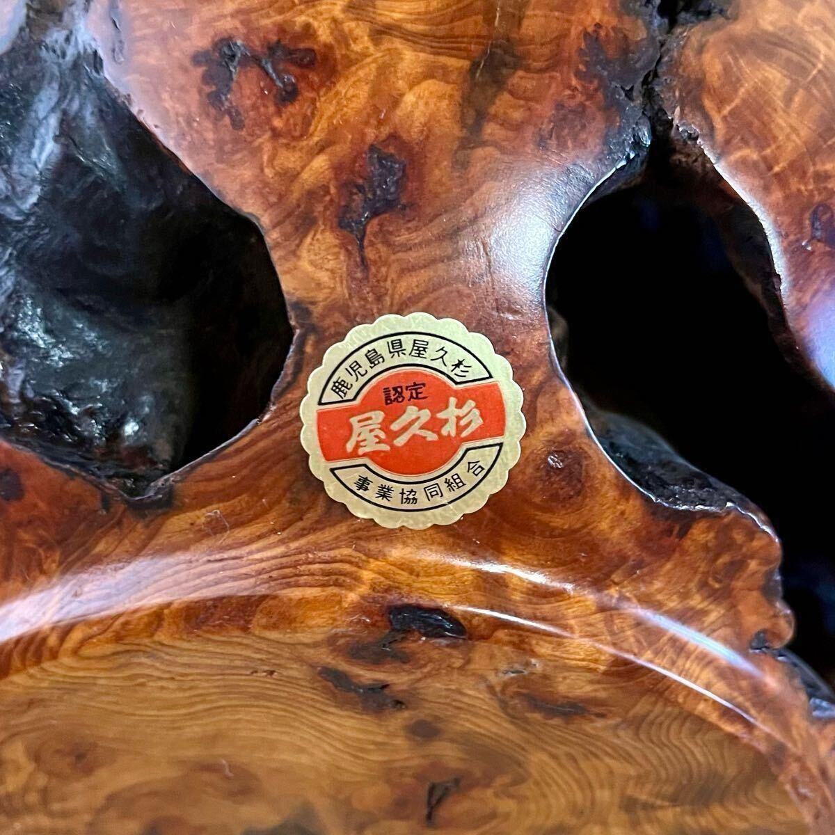 ☆【希少 泡瘤 蓮根】屋久杉 花瓶 花器 花入 壷 壺 華道 ☆【希少 泡瘤 蓮根】屋久杉 花瓶 花器 花入 壷 壺 華道