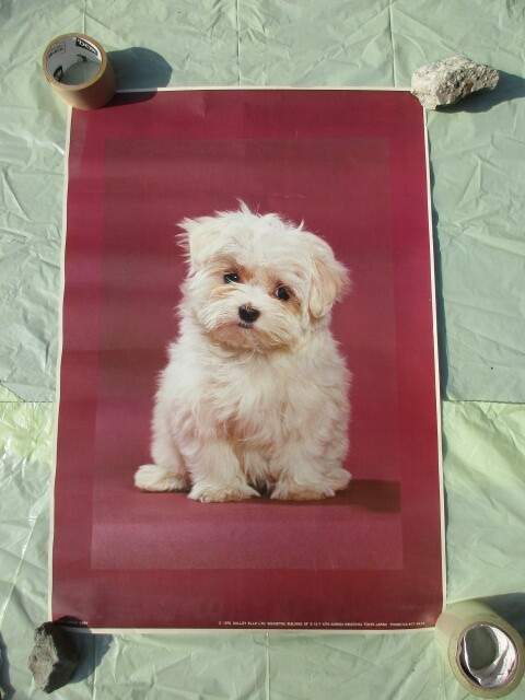 ◎犬のポスター_画像1