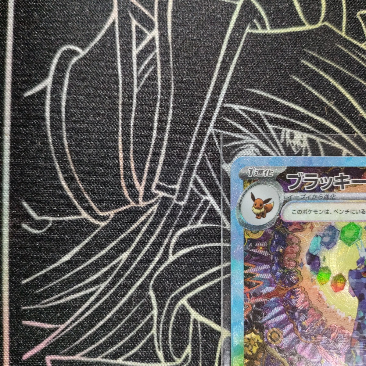 1スタ】 ブラッキーex SAR テラスタルフェスex ポケモンカード 1スタ】 ブラッキーex SAR テラスタルフェスex ポケモンカード