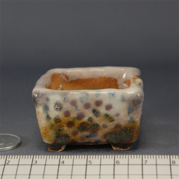 豆盆栽鉢 小品盆栽鉢 盆栽小鉢 小さい盆栽鉢 盆栽鉢 園芸鉢 正方 豆盆栽鉢 小品盆栽鉢 盆栽小鉢 小さい盆栽鉢 盆栽鉢 園芸鉢 正方