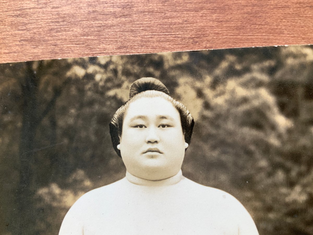 VV-8896 # включая доставку # ширина .. страна большой сумо сумо страна . сила . игрок спорт retro античный Akita префектура открытка с видом старинная книга старый лист документ фотография старый фотография /.NA.