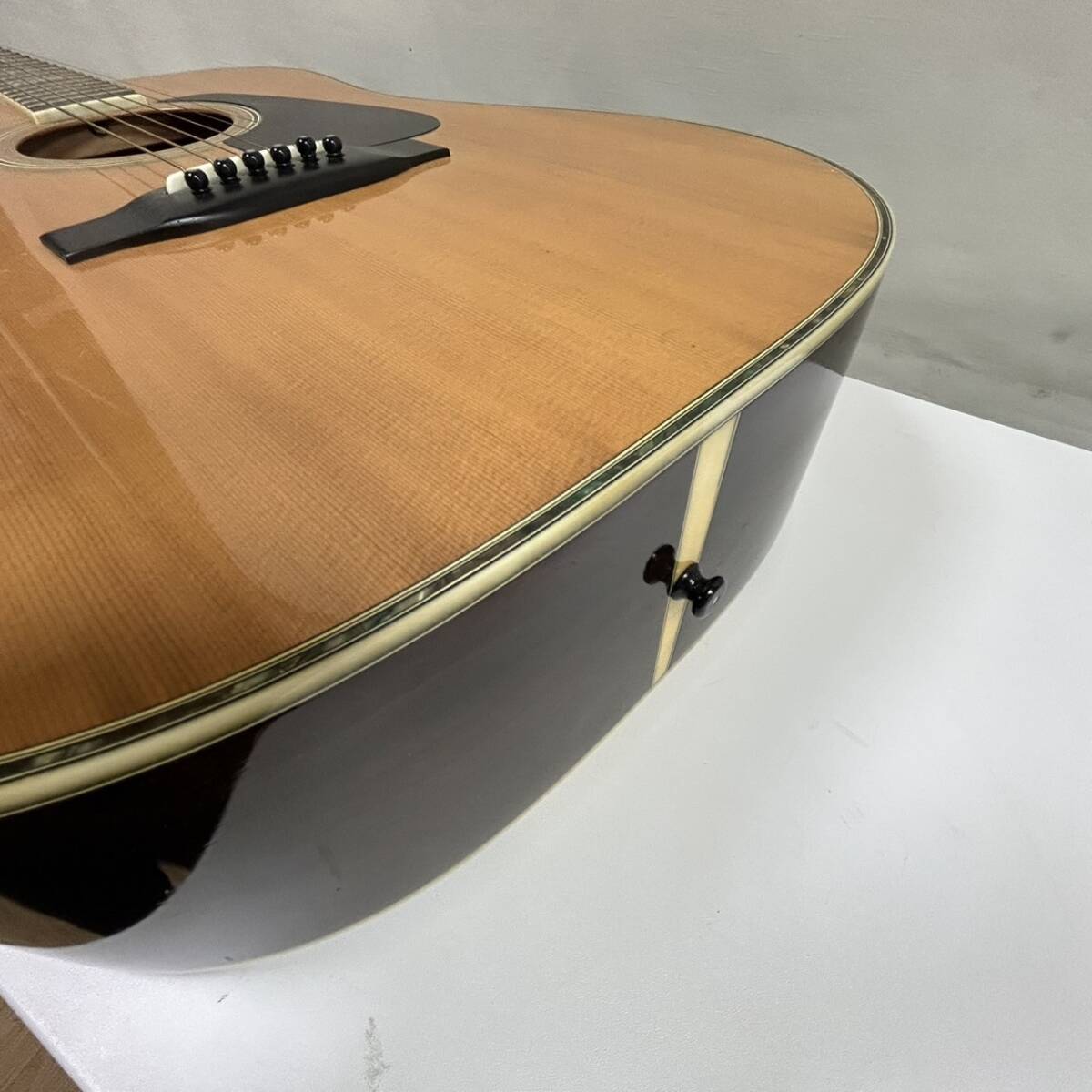Morris モーリス】アコースティックギター TF801 アコギ 中古 Morris モーリス】アコースティックギター TF801 アコギ 中古