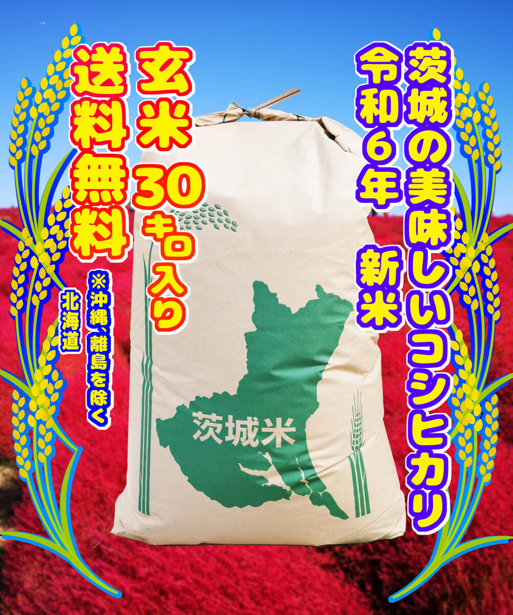 送料込◇令和6年度産 茨城県産 コシヒカリ 玄米 30kg 農家直送 送料込◇令和6年度産 茨城県産 コシヒカリ 玄米 30kg 農家直送