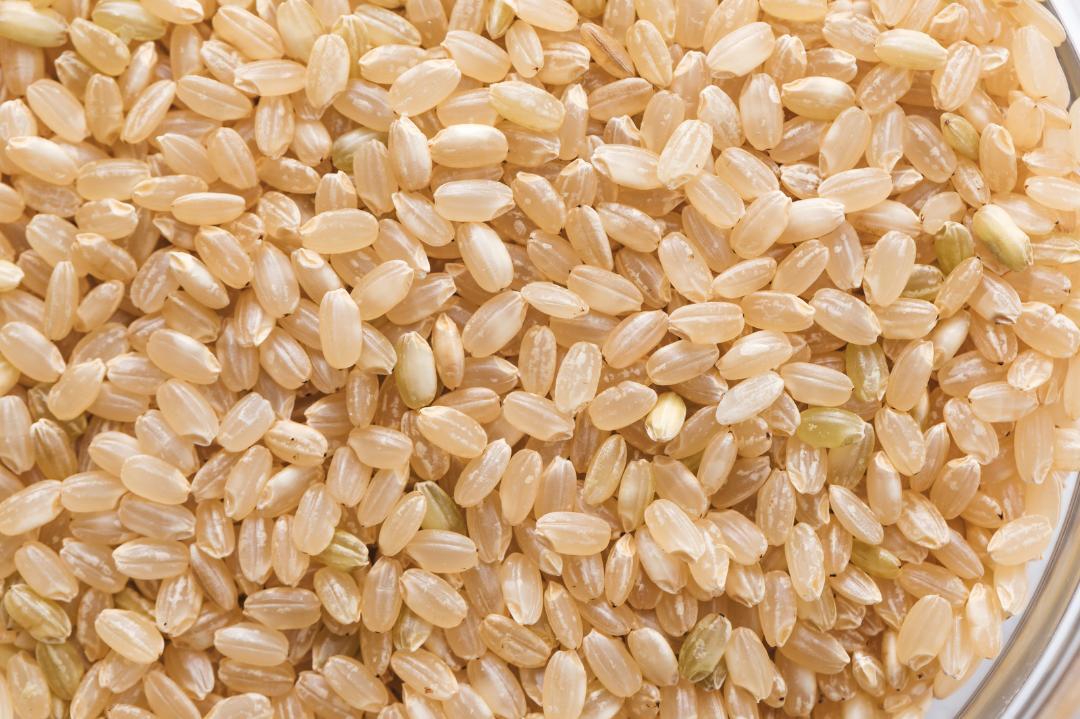 送料込◇令和6年度産 茨城県産 コシヒカリ 玄米 30kg 農家直送 送料込◇令和6年度産 茨城県産 コシヒカリ 玄米 30kg 農家直送
