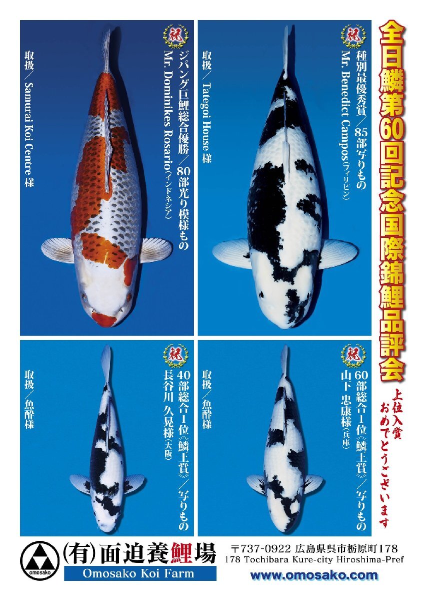 Yahoo!オークション - 【魚酔#CH-334】【特別出品】第60回国際 Yahoo!オークション - 【魚酔#CH-334】【特別出品】第60回国際