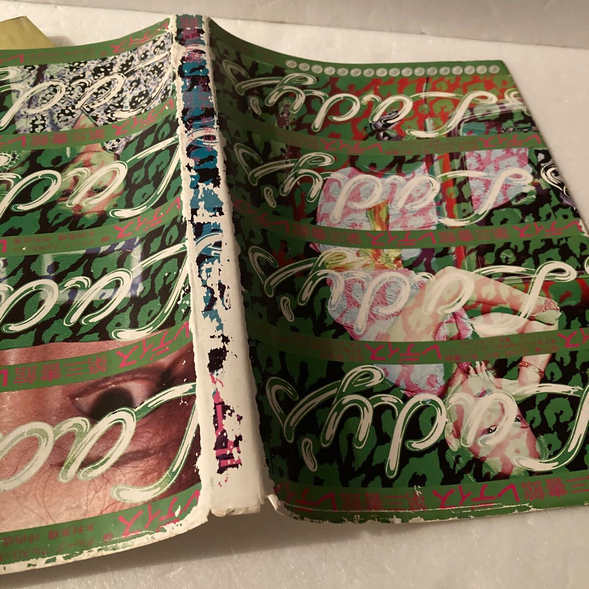 レディス 木村英輝 坪内成晃 第三書館 レディス 木村英輝 坪内成晃 第三書館 / 暴走族 レディース