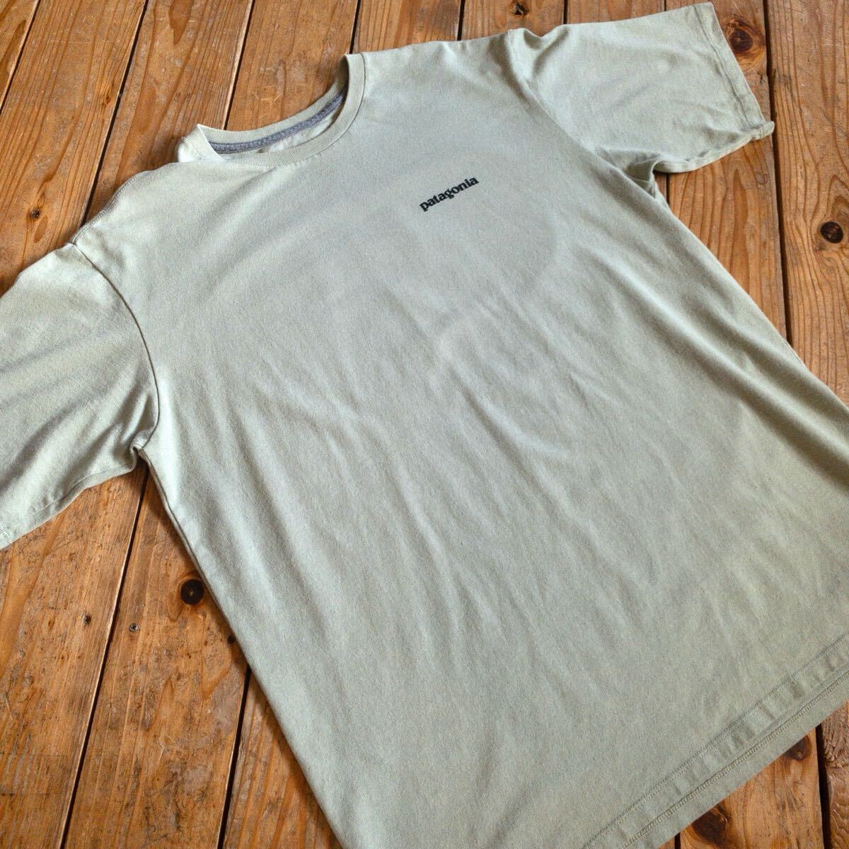 USA古著 Patagonia パタゴニア 半袖Tシャツ メンズ Sサイズ トップス カットソー 春物 夏物 カジュアル バックプリント T2910