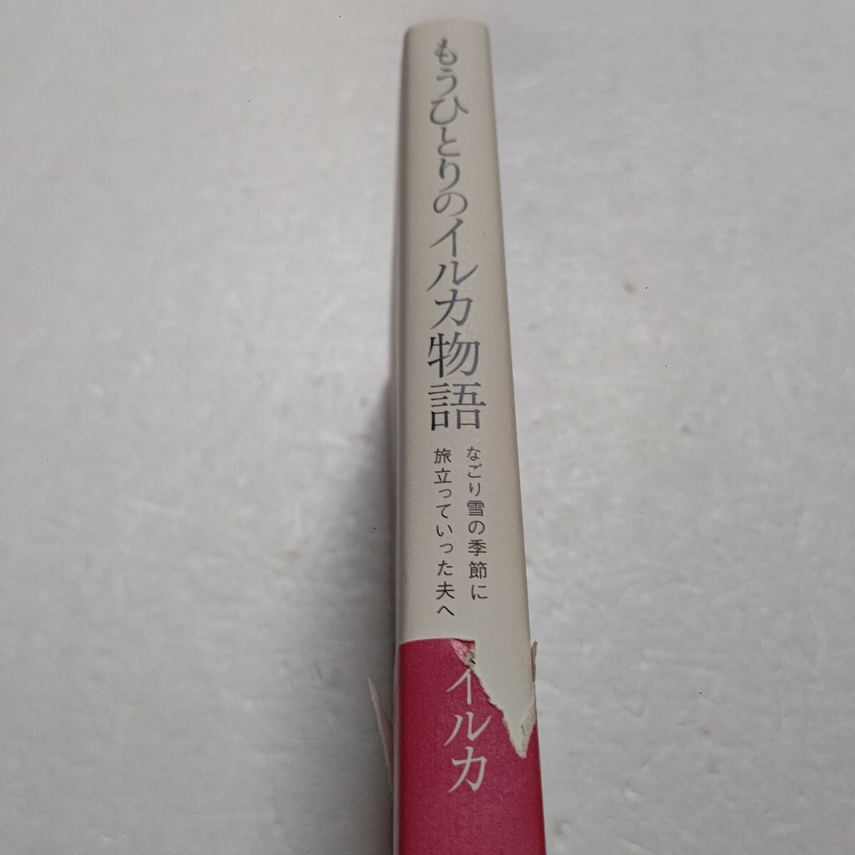 もうひとりのイルカ物語 なごり雪の季節(jié)に旅立っていった夫へ イルカ テーマは「病と死」小さな幸せと愛。亡き夫の一周忌書下ろしエッセイ