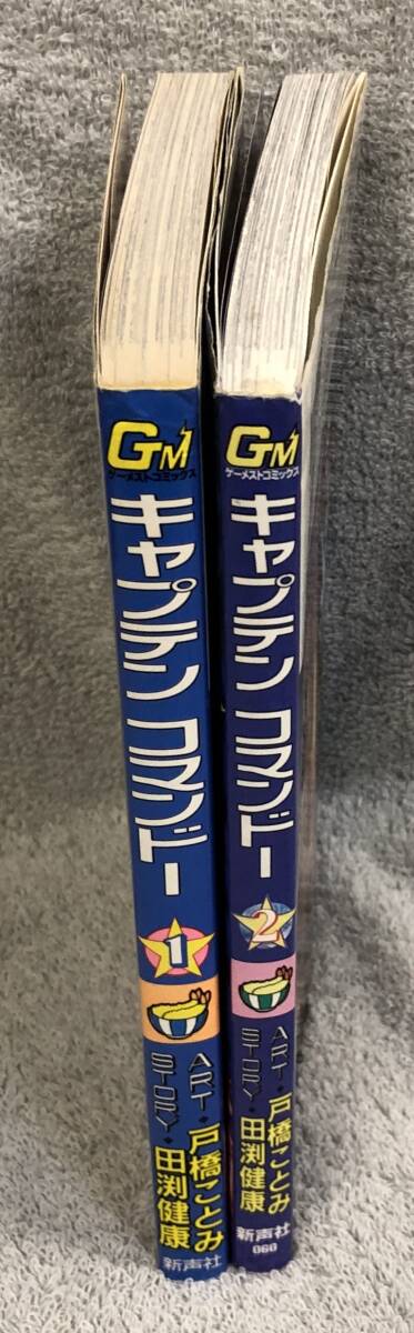 行草大字典　上下　赤井清美 書籍｜書家 赤井清美