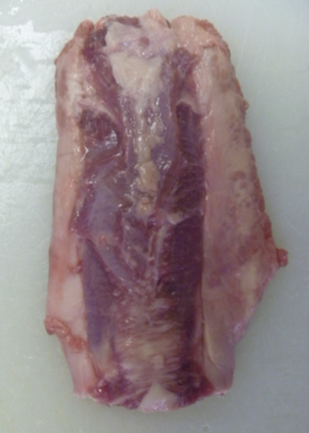 オーストラリア産牛タンルートA　タン下　冷凍　　10kg(5kg×2パック) 牛タン下　ルート！焼き肉　タンシチュー！タン串にも！