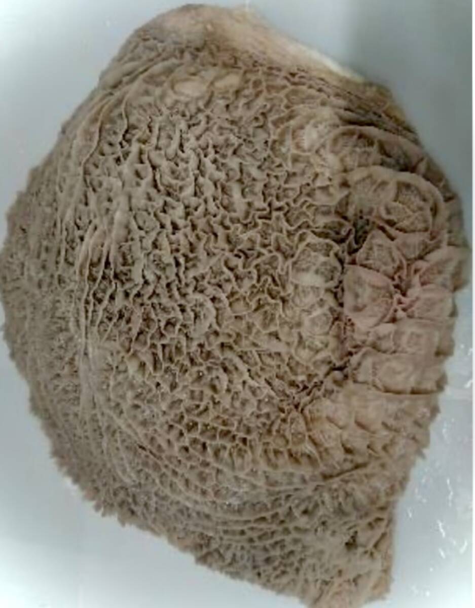 ^_^/【即決は10kg】和?！?guó)産?！ˉ膝隶违埂?kgからの販売です！。