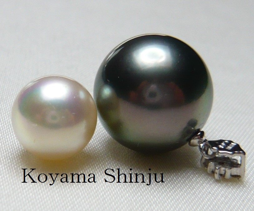 新品☆小山真珠☆1円~めっちゃ綺麗!絶品ピーコック系カラー 新品☆小山真珠☆1円~めっちゃ綺麗!絶品ピーコック系カラー
