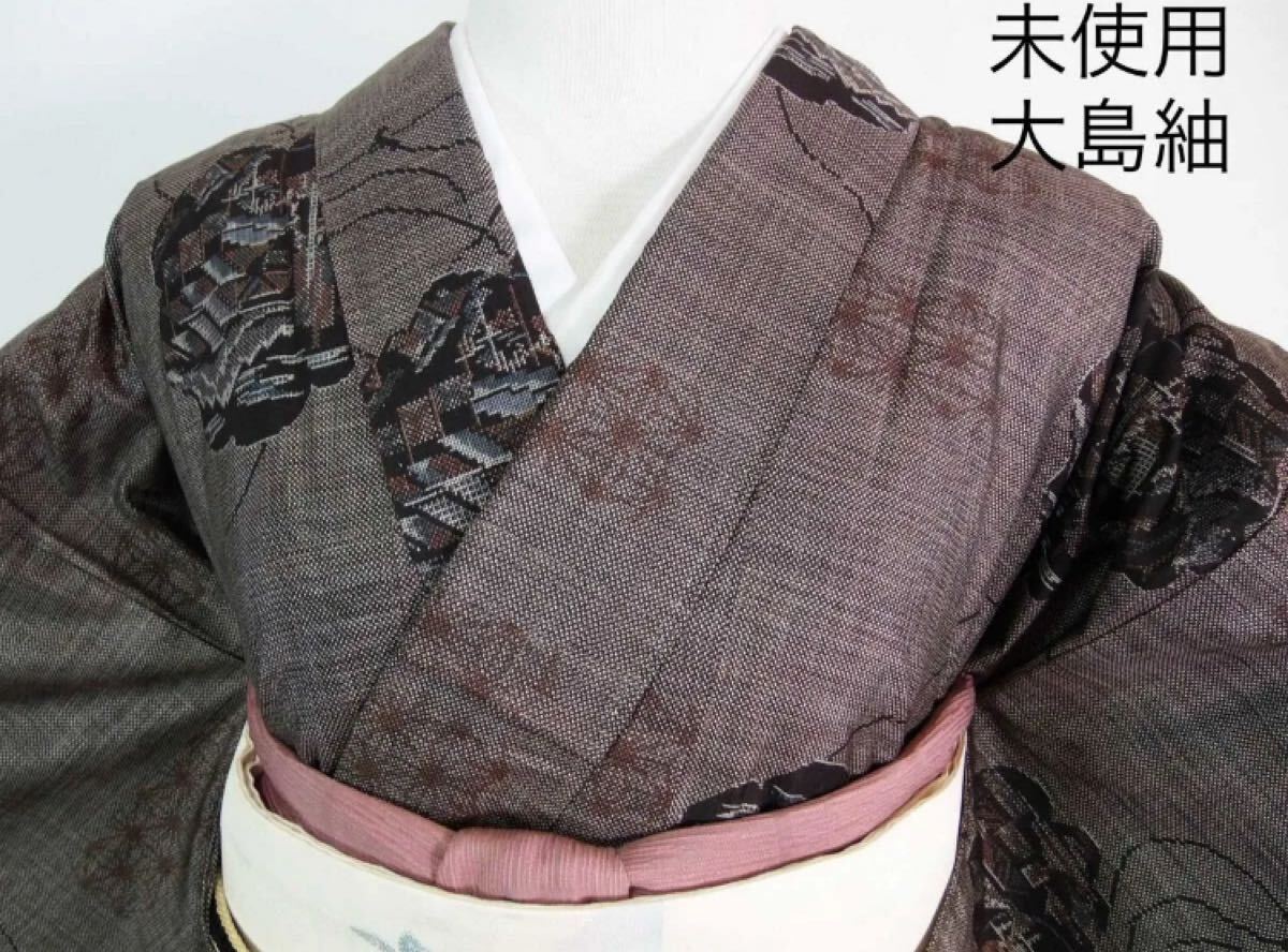 未使用 美品 大島紬 片ス式 9マルキ 麻柄に茶屋辻文様 焦茶色系 未使用 美品 大島紬 片ス式 9マルキ 麻柄に茶屋辻文様 焦茶色系