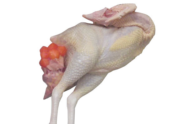 ★秋田 比內(nèi)地鶏 丸鶏中抜き1羽（2.3～2.5kg）：生 チルド★ ※(頭：足：もつ)付　