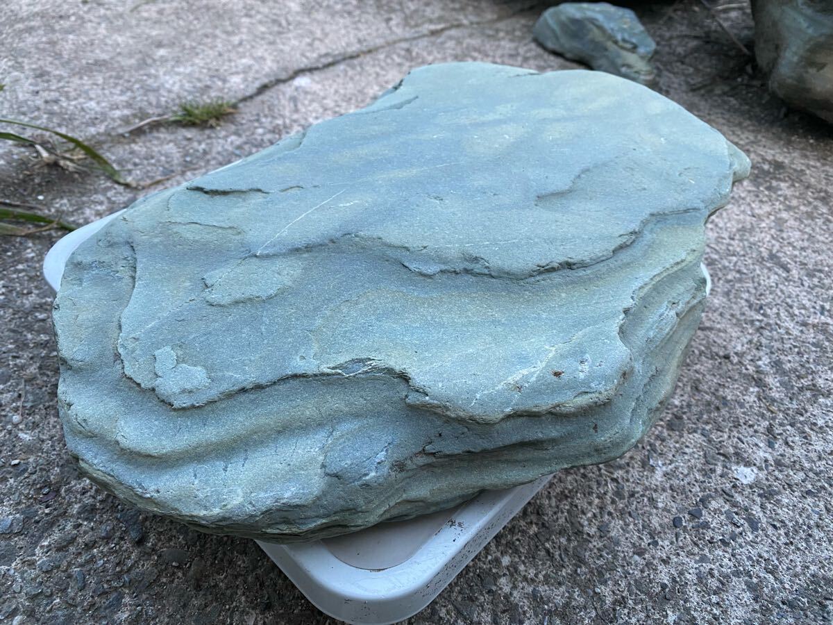 阿波の青石 庭石 日本庭園 庭園資材 盆栽 飛石 台石 銘石 希少材 阿波の青石 庭石 日本庭園 庭園資材 盆栽 飛石 台石 銘石 希少材