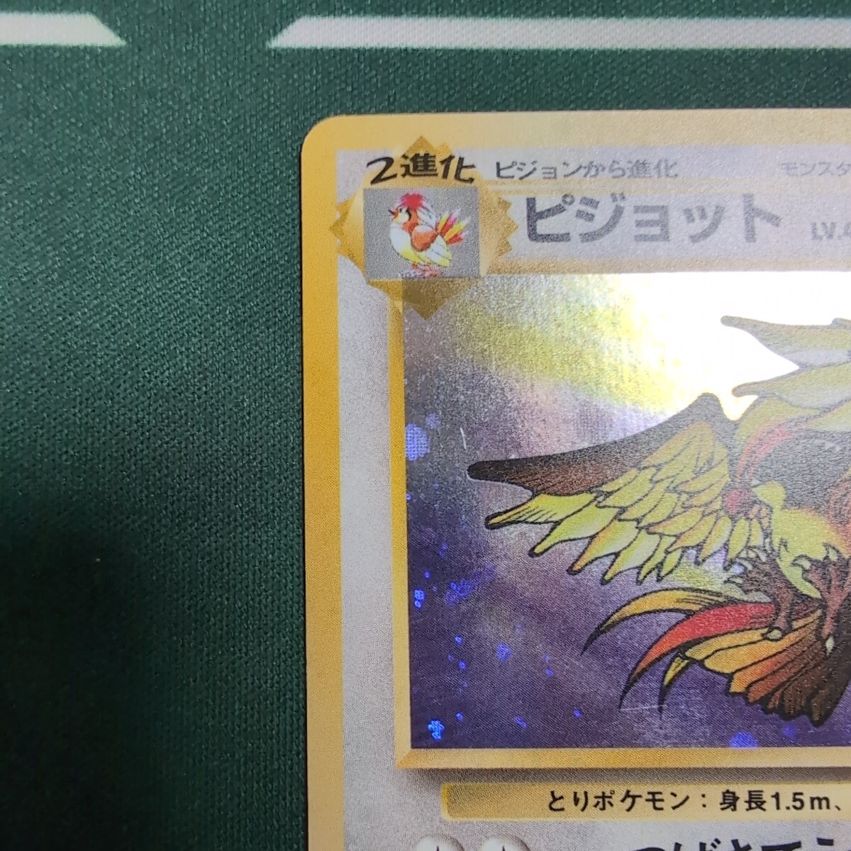 ポケモンカード 旧裏 ピジョット LV.40 No.018 つばさでうつ ポケモンカード 旧裏 ピジョット LV.40 No.018 つばさでうつ