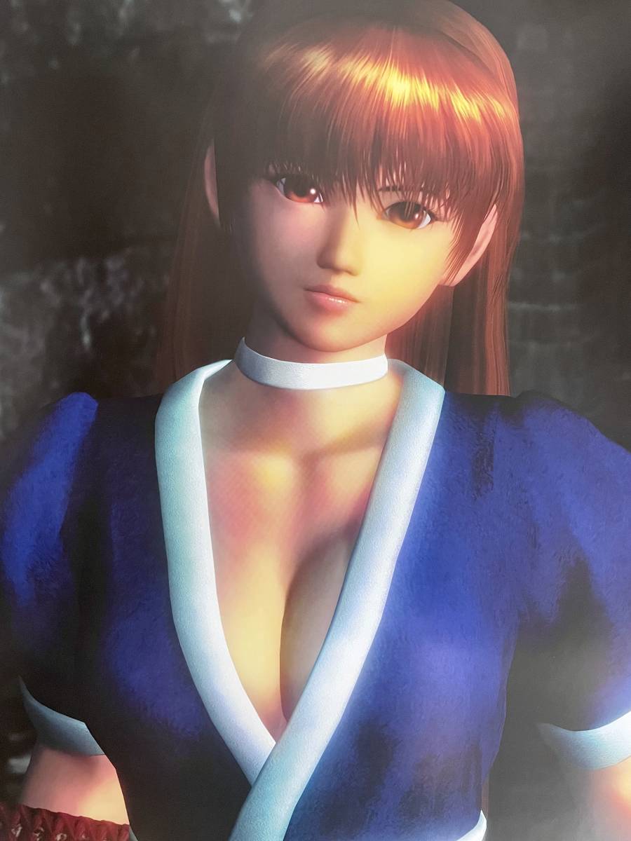 非売品 B2ポスターのみ】DEAD OR ALIVE ONLINE【2004年製 未使用 非売品 B2ポスターのみ】DEAD OR ALIVE ONLINE【2004年製 未使用