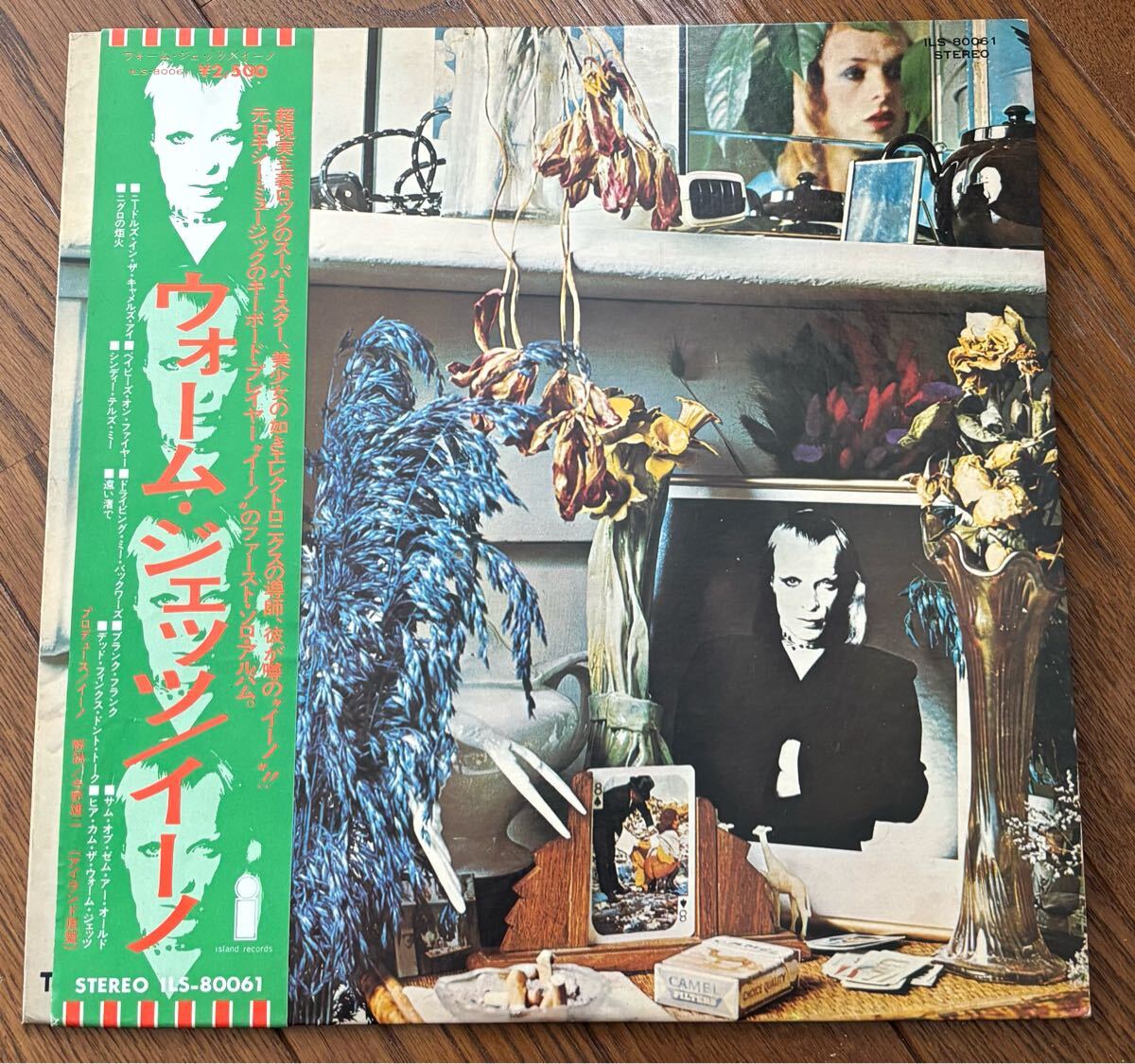 308 Brian Eno, 'Here Come the Warm Jets' (1974) — Rolling