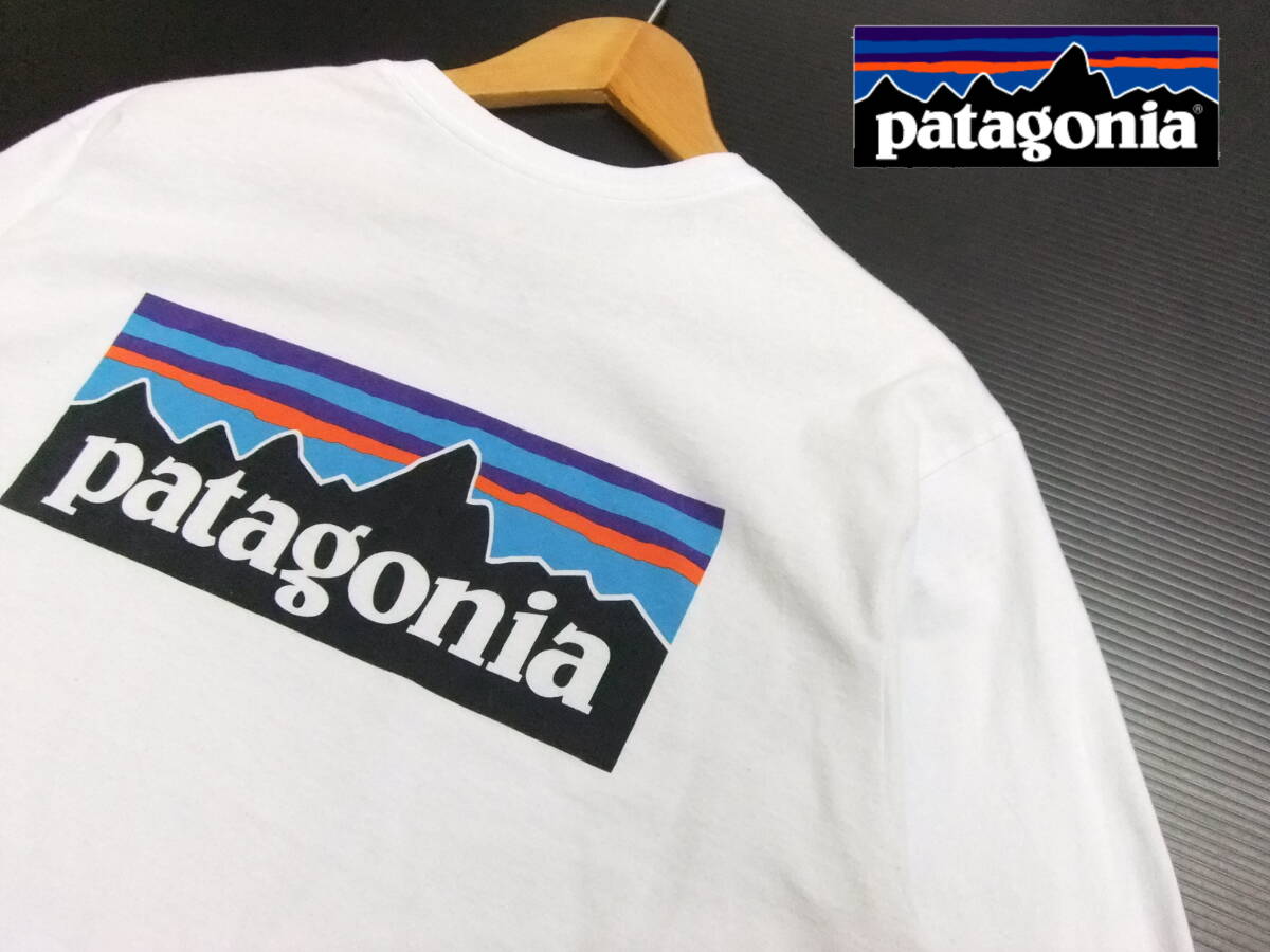 □patagonia□長袖Tシャツ 白 Mサイズ バックプリント 胸ロゴ □patagonia□長袖Tシャツ 白 Mサイズ バックプリント 胸ロゴ