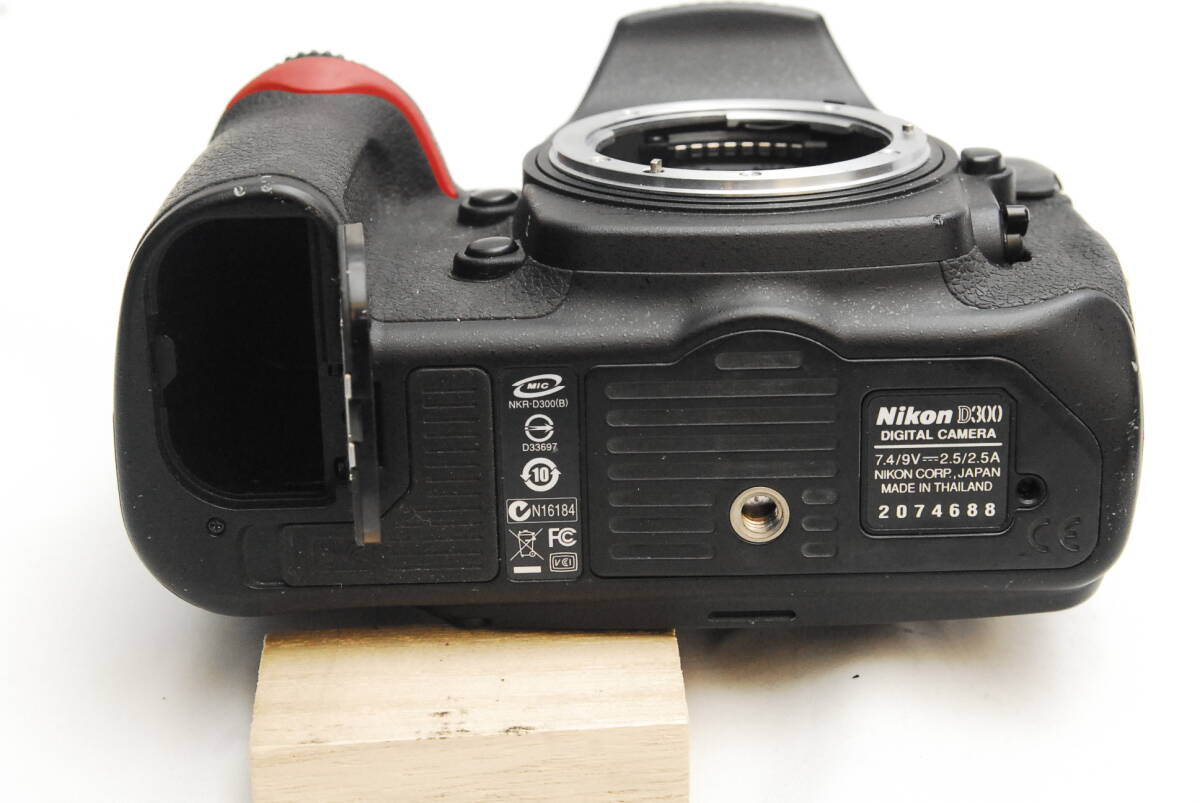 Nikon D300/DX VR 18-55mm ( хорошая вещь ) 04-02-04