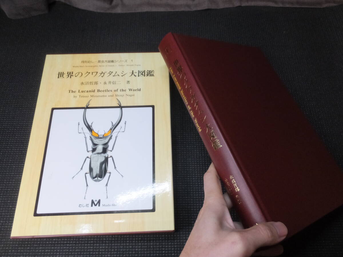 大型図録!世界のクワガタムシ大図鑑!月刊むし!昆虫大図鑑 大型図録!世界のクワガタムシ大図鑑!月刊むし!昆虫大図鑑