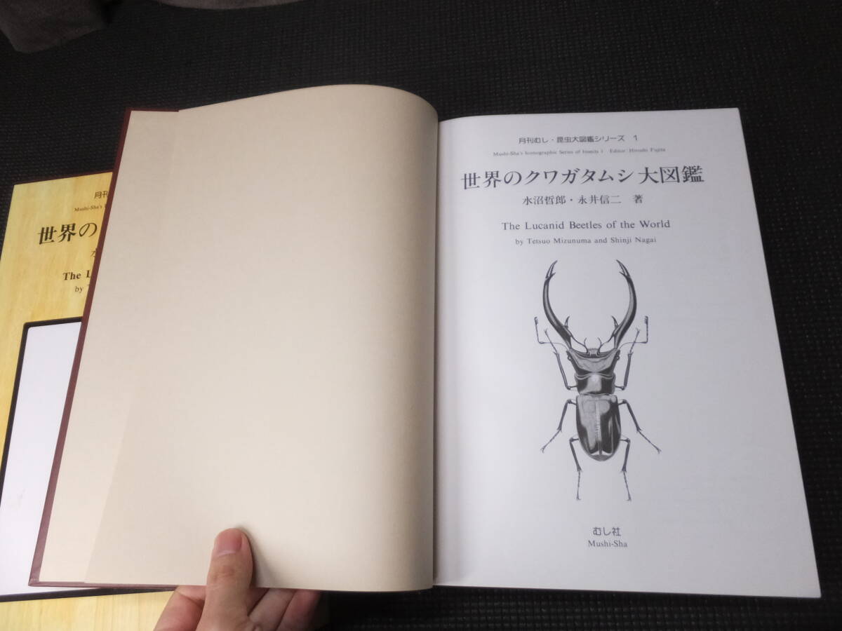 大型図録!世界のクワガタムシ大図鑑!月刊むし!昆虫大図鑑 大型図録!世界のクワガタムシ大図鑑!月刊むし!昆虫大図鑑