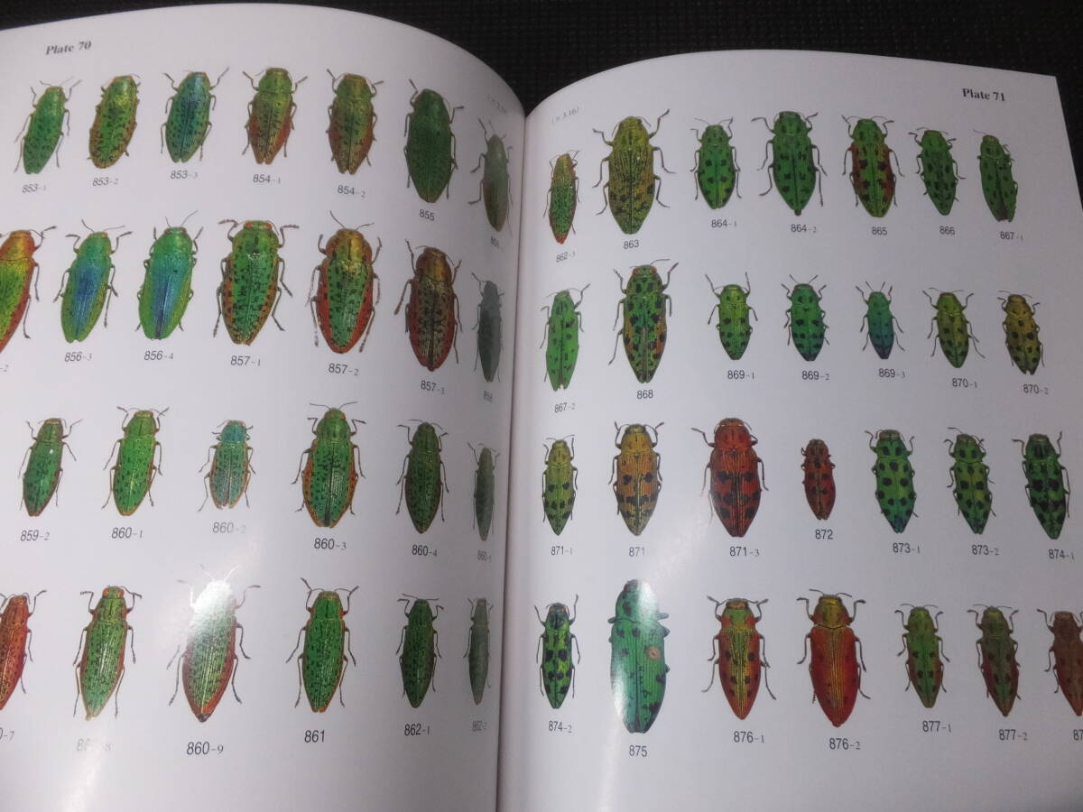 世界のタマムシ大図鑑!月刊むし昆虫大図鑑シリーズ 4 ! 検博物 世界のタマムシ大図鑑!月刊むし昆虫大図鑑シリーズ 4 ! 検博物