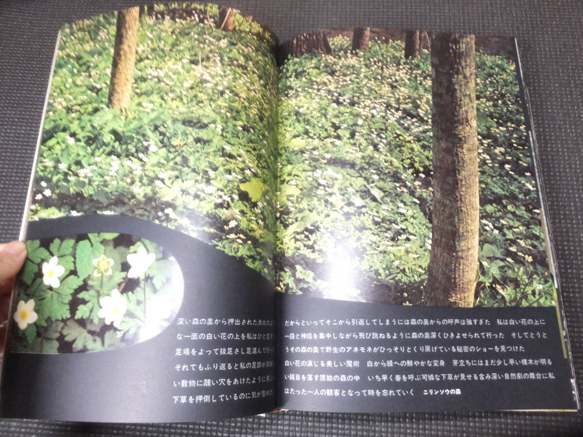 田淵行男写真集!山の意匠!豪華大型写真集!ピッケルや高山植物 田淵行男写真集!山の意匠!豪華大型写真集!ピッケルや高山植物
