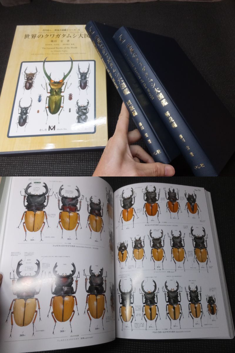大型図録!世界のクワガタムシ大図鑑!月刊むし!昆虫大図鑑 大型図録!世界のクワガタムシ大図鑑!月刊むし!昆虫大図鑑