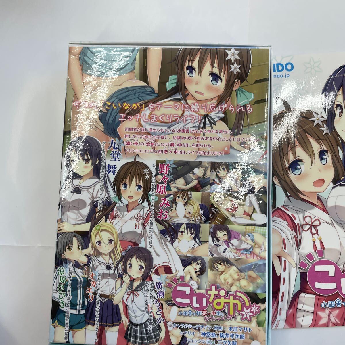 即決★WindowsXP/Vista/7/8　DVDソフト　こいなか -小田舎で初戀×中出しセクシャルライフ-　特典付