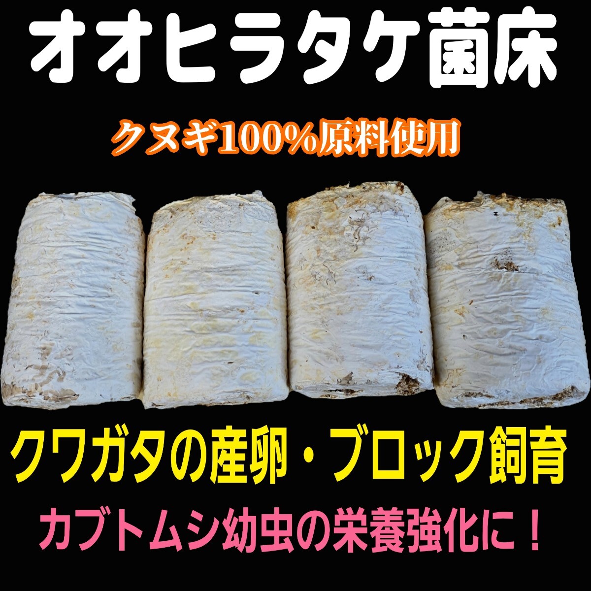クワガタ産卵専用 オオヒラタケ菌床【4ブロック】マットに クワガタ産卵専用 オオヒラタケ菌床【4ブロック】マットに