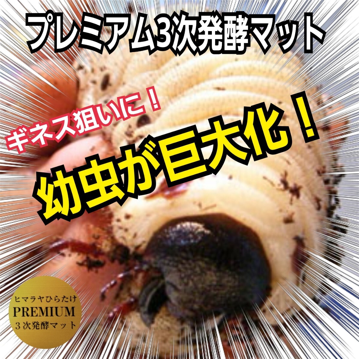 極上品 さらにグレードアップしたプレミアム3次発酵カブトムシ 極上品 さらにグレードアップしたプレミアム3次発酵カブトムシ