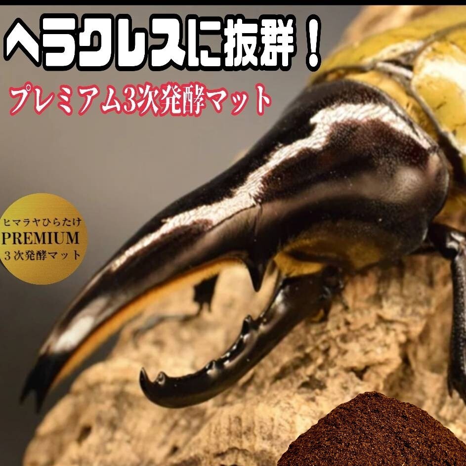 極上品 さらにグレードアップしたプレミアム3次発酵カブトムシ 極上品 さらにグレードアップしたプレミアム3次発酵カブトムシ