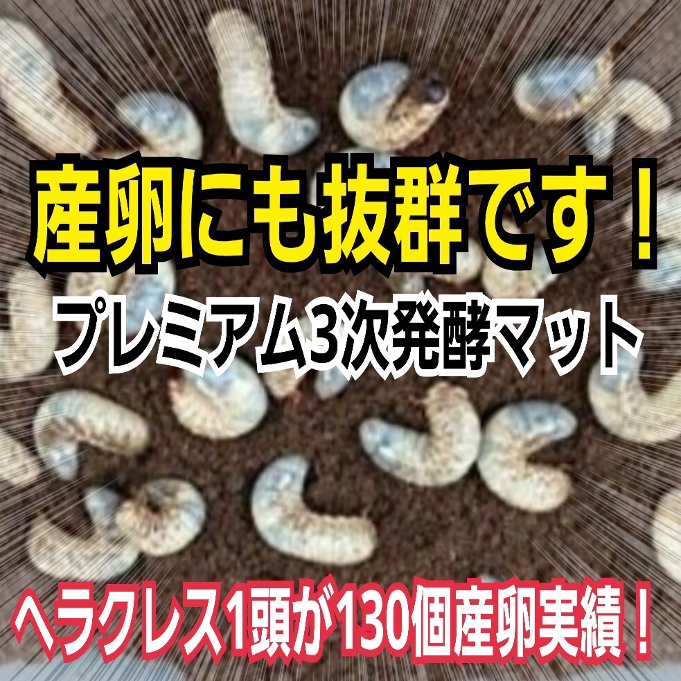 極上品 さらにグレードアップしたプレミアム3次発酵カブトムシ 極上品 さらにグレードアップしたプレミアム3次発酵カブトムシ