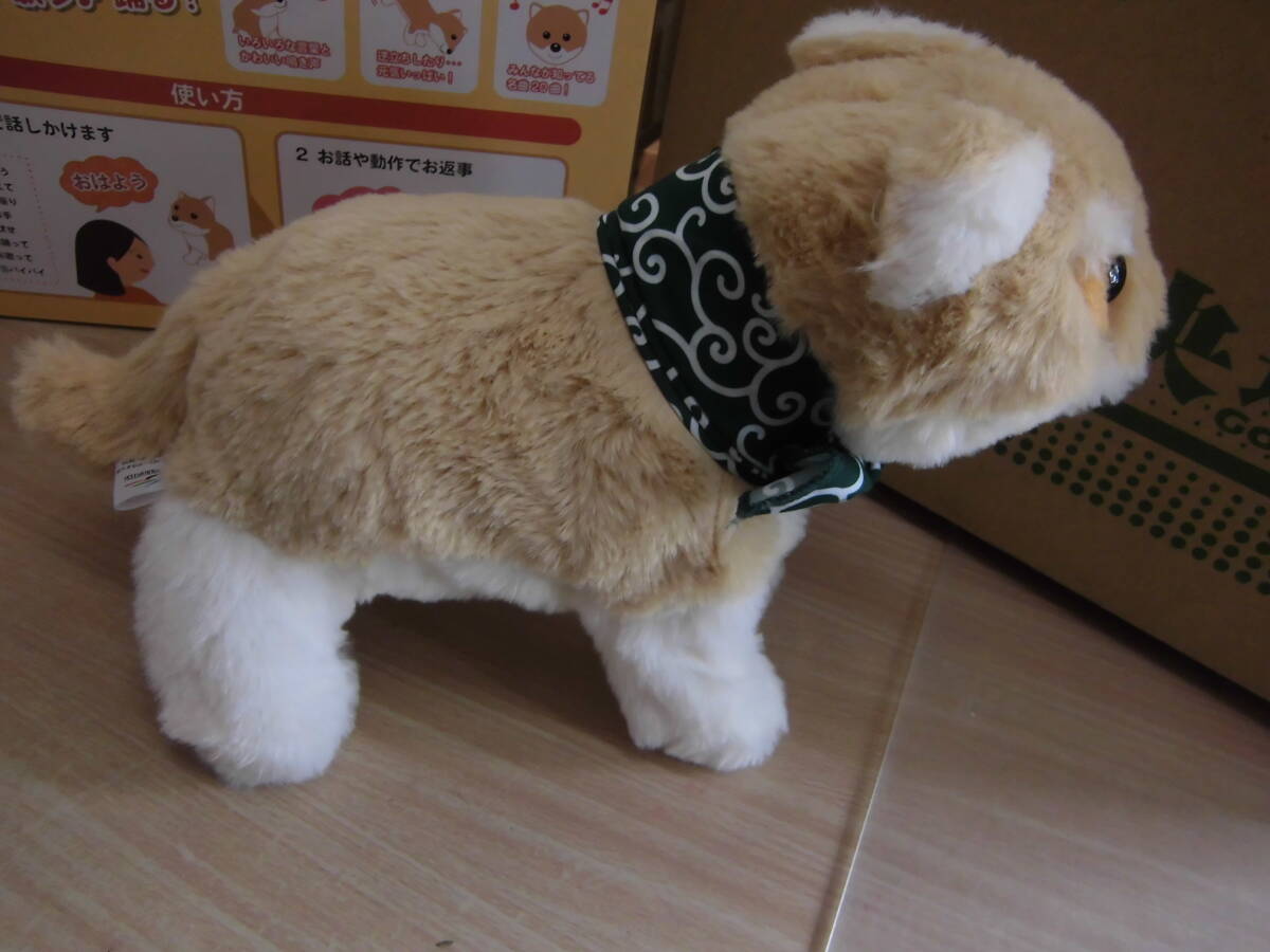 ココドル 踴るペット犬 豆柴 お話だいすき!元気いっぱい 喋って 動いて 歌う