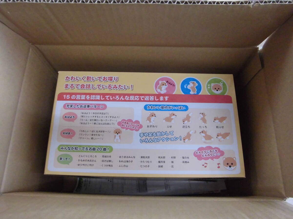 ココドル 踴るペット犬 豆柴 お話だいすき!元気いっぱい 喋って 動いて 歌う