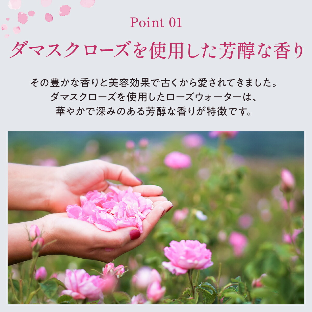  Damas Crows вода 250ml заполняющий лосьон BVLGARY a натуральный увлажнитель натуральный чуткий . сухой . уход за кожей лосьон 