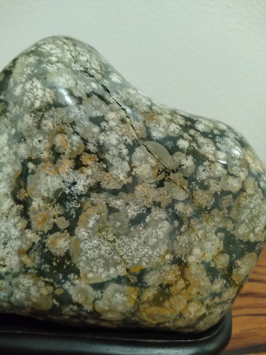 鑑賞石 青花紋石 津軽錦石 水石 盆石 菊花石(原石)|売買された 鑑賞石 青花紋石 津軽錦石 水石 盆石 菊花石(原石)|売買された