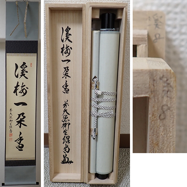 02442 前大徳寺 柳生紹尚 作 「渓梅一朶香」掛軸（共箱）