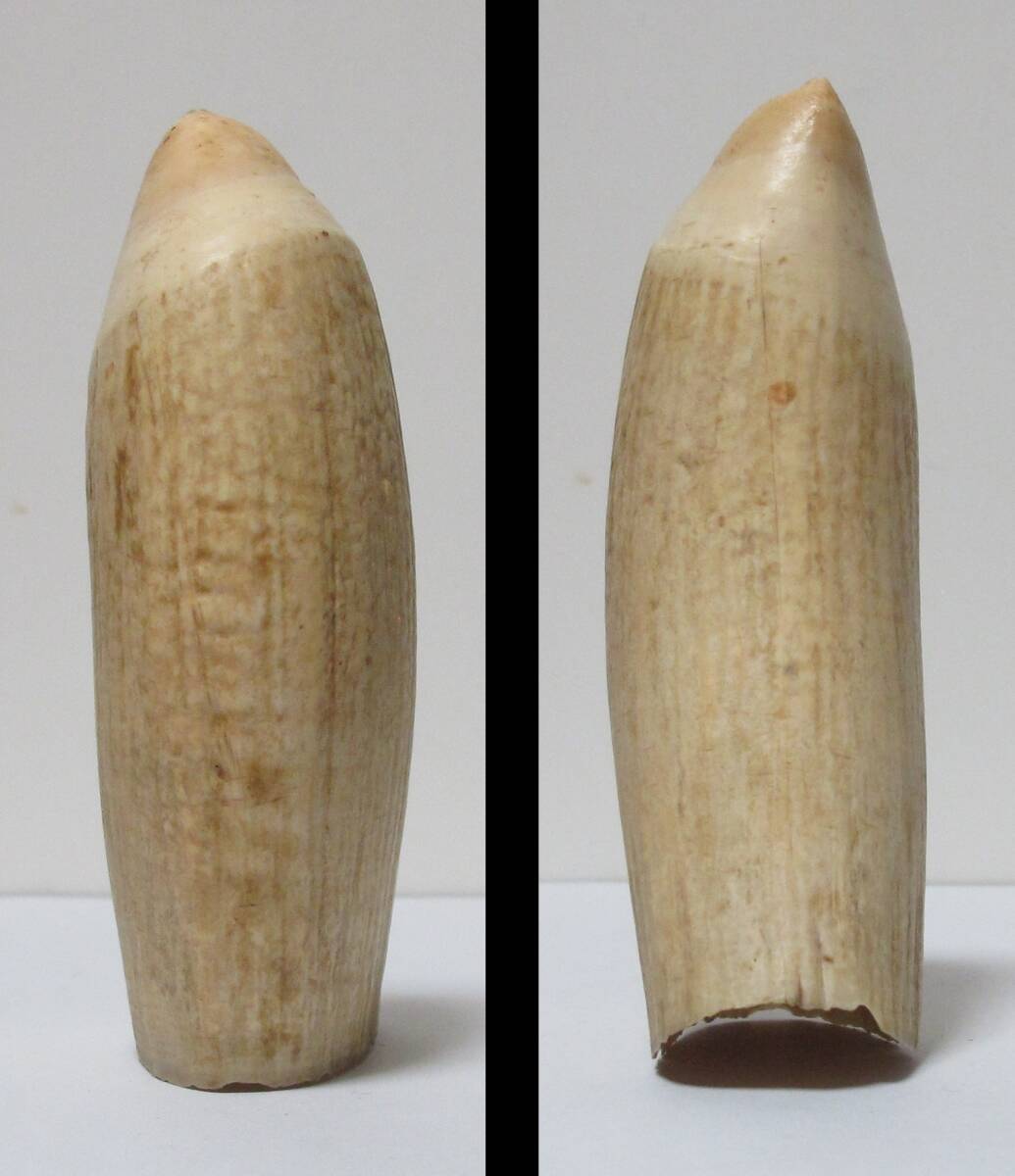 マッコウクジラ 鯨歯 264g 抹香鯨 天然素材 [根付/印材/印鑑 マッコウクジラ 鯨歯 264g 抹香鯨 天然素材 [根付/印材/印鑑