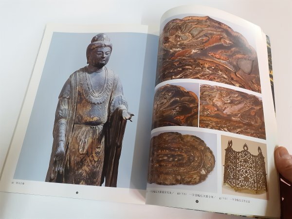  управление No319 flat Izumi средний . храм * шерсть . храм. все форма глициния остров ..... роскошный фотоальбом история культура состояние гид 