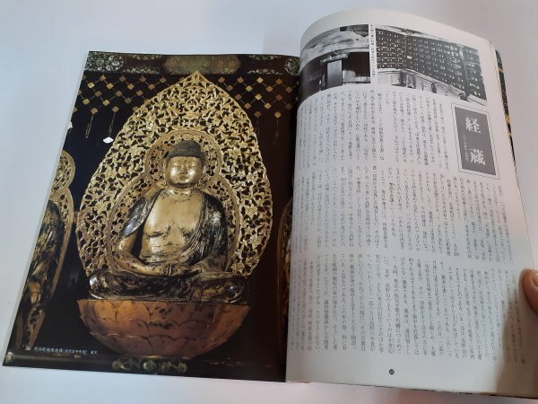  управление No319 flat Izumi средний . храм * шерсть . храм. все форма глициния остров ..... роскошный фотоальбом история культура состояние гид 