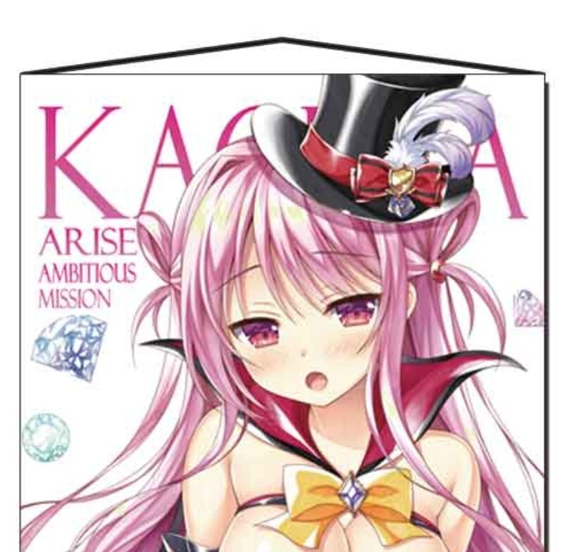 えっちver 怪盗 有瀬かぐや B2タペストリー AMBITIOUS MISSION えっちver 怪盗 有瀬かぐや B2タペストリー AMBITIOUS MISSION