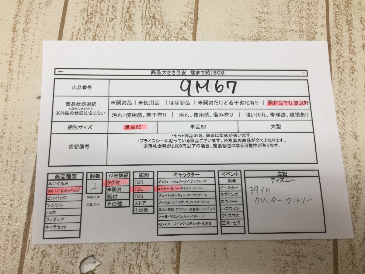 ◇ディズニー TDL ミッキー ミニー ぬいぐるみバッジ 2点 タグ付 ◇ディズニー TDL ミッキー ミニー ぬいぐるみバッジ 2点 タグ付