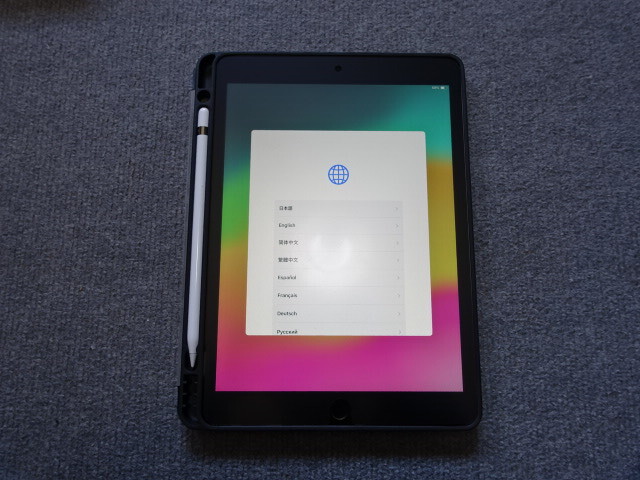 ipad第9世代 wi-fi専用 256GB アップルペンシル初代 カバー 予備 ipad第9世代 wi-fi専用 256GB アップルペンシル初代 カバー 予備