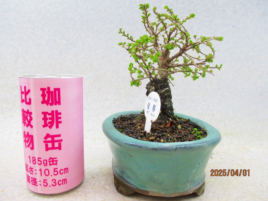 item_image_4