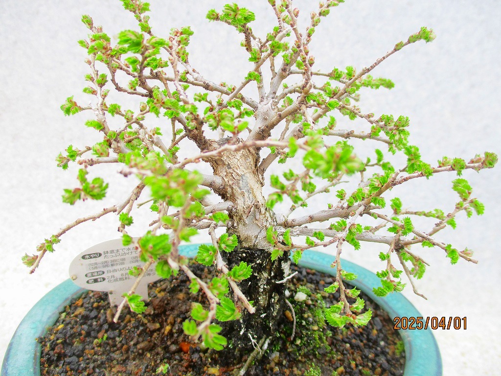 item_image_7