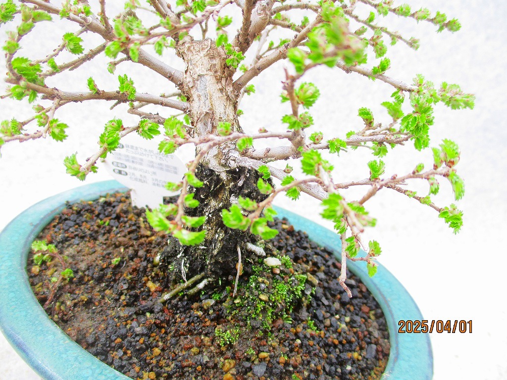 item_image_6