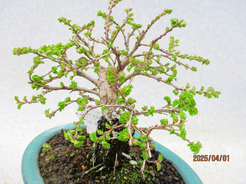 item_image_10