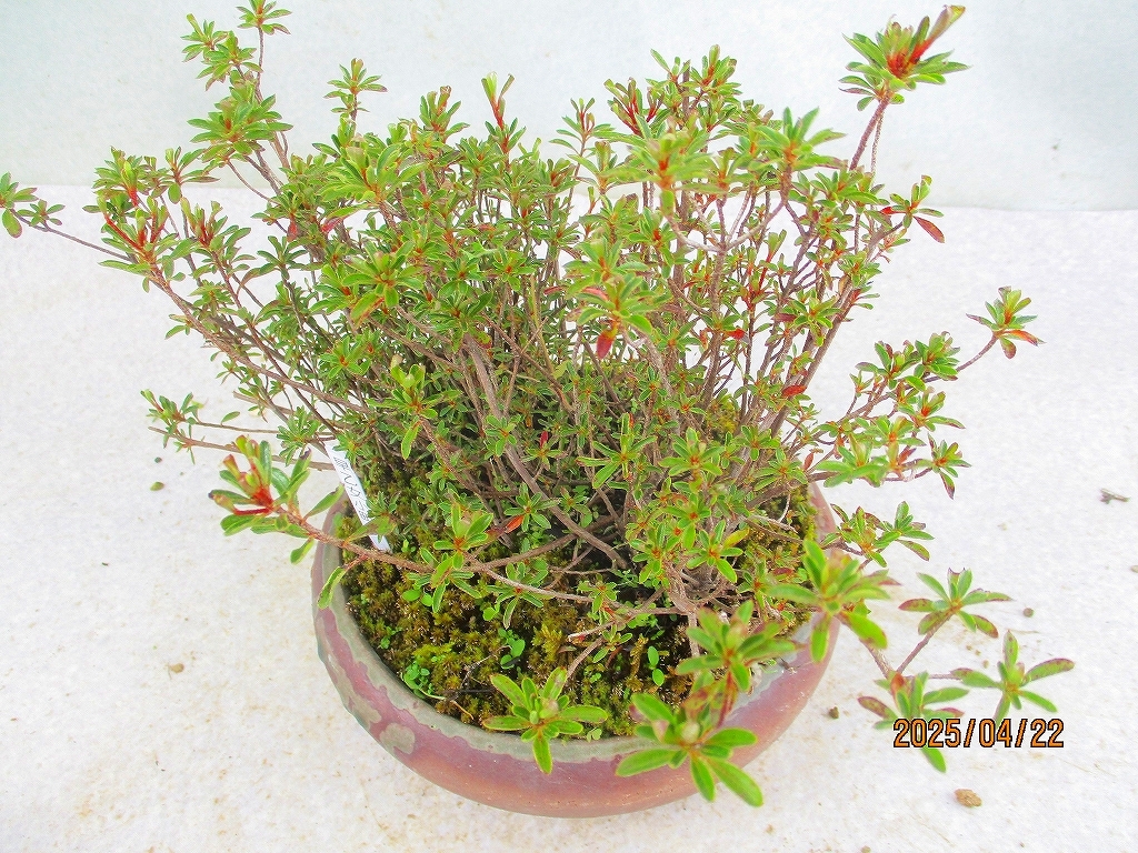 item_image_10